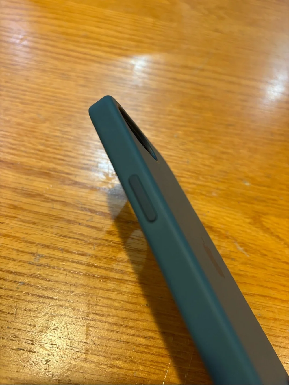 Apple Silicone iPhone 16se/ 17se Case - Forest Green